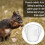 Leaf Filter Gutter Strainer & Downspout Guard  to 4inch Diameter Gutter Drain Cover & Gutter Down Spout Rain Protector 5