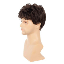 Short Brown Rocker Wig for Men Party