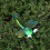 Dragonfly Fence Art Rustproof Iron 1