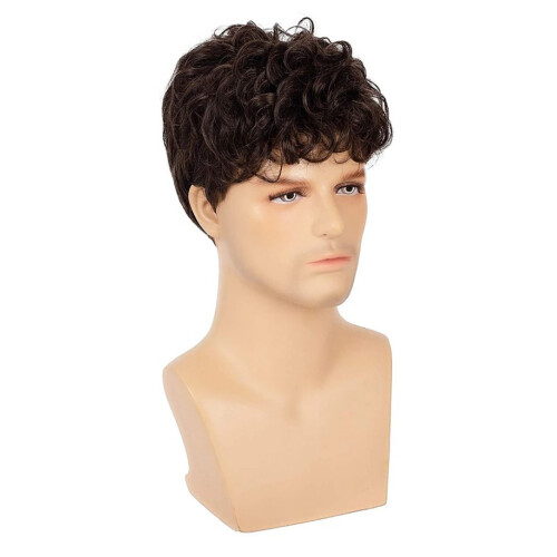 Short Brown Rocker Wig for Men Party 1