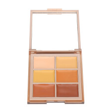 6 Farben Gesichtsconcealer-Palette 12g Vollabdeckende aufhellende Creme