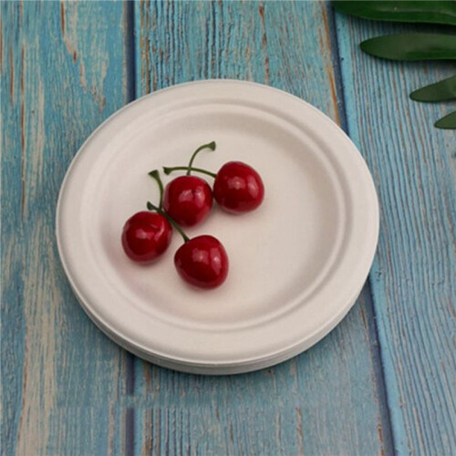 Compostable Disposable Paper Plates Bulk 9 Inch 100 Pack, Bamboo Plates, Eco Friendly, Biodegradable 1