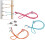 2er-Pack verstellbare Servietten-Lanyards bunt 4