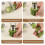 Red Bell Pepper Seed Corer,Universal Fruit and Vegetable Core Remover,Stainless Steel Pepper Corer Seed 3pcs 5