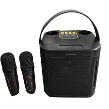 High Power Karaoke Speaker Portable 360 Stereo Surround Waterproof Wireless Subwoofer with Dual Microphone-A
