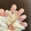 (2110) Glitter Mermaid Fake Nails - Durable & Comfortable 4
