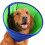 (Blue Green, L Code  (38-44cm)) Post-Surgery Soft Dog Cone, Bite Protection (50 chars) 8