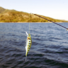 (Gold) Double Hook Floating Fishing Lures - Reusable Bait