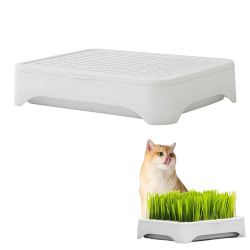 Cat Grass Planter Box for Indoor Cats 2