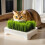 Cat Grass Planter Box for Indoor Cats 5