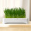 Cat Grass Planter Box for Indoor Cats 7
