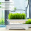 Cat Grass Planter Box for Indoor Cats 9