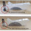 Table Saw Dust Collection Guard: Transparent Hood For Circular Saw 8