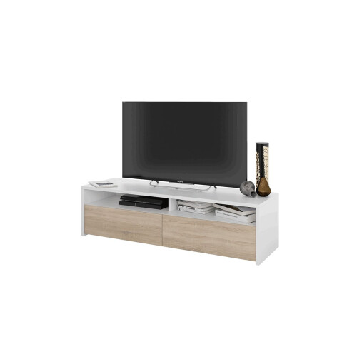 Mueble TV Kioto 2 puertas 1