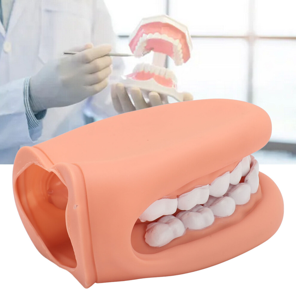 Silicone Mouth Puppet with Tongue & 28 Teeth for Speech Therapy Kids