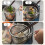 Stainless Steel Fine Mesh Colander with Handle 8
