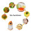 6-Sided Stainless Steel Grater for Kitchen 7