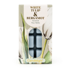 Candlelight 8 Pack Wax Melts - White Tulip & Bergamot
