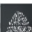 VidaXL vidaXL Gartentor Anthrazit 100x75 cm Stahl Baum-Design 6