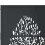 VidaXL vidaXL Gartentor Anthrazit 100x200 cm Stahl Baum-Design 6