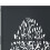 VidaXL vidaXL Gartentor Anthrazit 100x125 cm Stahl Baum-Design 5