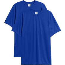 Hanes Men T-Shirt Pack of 2 (S)  Deep Royal