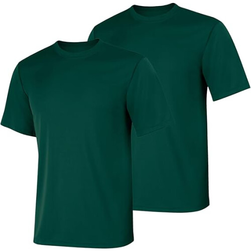 Hanes Men T-Shirt Pack of 2 (M) Deep Forest
