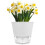 Vaso para Plantas Autoirrigável de 6 Polegadas com Reservatório Visual e Furo de Drenagem, Vaso para Plantio Interno e Externo, Pacote com 5, Cinza 2