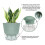 Vaso para Plantas Autoirrigável de 6 Polegadas com Reservatório Visual e Furo de Drenagem, Vaso para Plantio Interno e Externo, Pacote com 5, Cinza 6