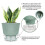 Vaso para Plantas Autoirrigável de 6 Polegadas com Reservatório Visual e Furo de Drenagem, Vaso para Plantio Interno e Externo, Pacote com 5, Branco 6