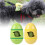 Boîte Déchets Portable Animaux Format Œuf Pour Sorties 3