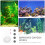1Set Plastic Aquarium Air Pump Set for Home Oxygenation 8