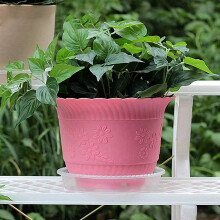 Plant Saucers, 20 Pack of 30cm (12 Inch), Transparent Flower Pot Drip Trays for Indoor & Outdoor Plants Garden Clear