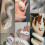 Three Dimensional Printed Snake Hand Toy with Fully Movable Joints Realistic Plastic Decorative Figurine 6