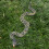 (Grey Python) Inflatable Snake Toy for Halloween Prank 3