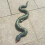 (Grey Python) Inflatable Snake Toy for Halloween Prank 5