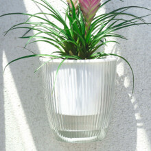 (Pure Transparency M) Nordic Self-Watering Wall Planter - Large Capacity