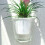 (Pure Transparency M) Nordic Self-Watering Wall Planter - Large Capacity 1