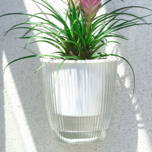 (Pure Transparency M) Nordic Self-Watering Wall Planter - Large Capacity