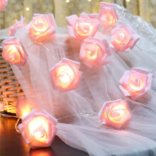 Luzes de cordão rosa rosa, alimentadas por bateria, 10m