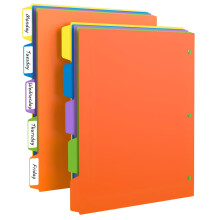 Binder Dividers with Tabs, 5 Tab Durable Plastic Sheet Protectors for 3 Ring Binder Organizer, Office Supplies, 10 Pcs Set, orange