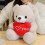 Plüschbär mit rotem Herz „Ich liebe dich“, 28 cm, Weiß 3