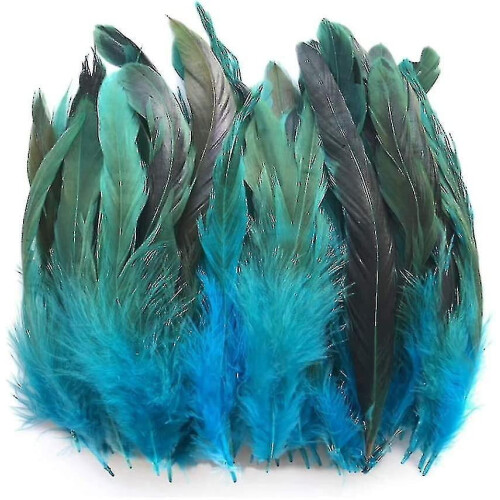 100pcs Feathers, Dyed Decoration, Feathers