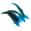100pcs Feathers, Dyed Decoration, Feathers 5