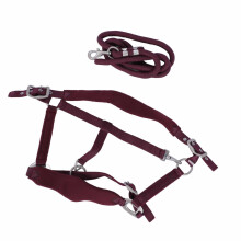 Set di capestri per cavallo con guinzaglio da 2 m, taglia L, rosso vino - Allenamento