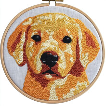 Cute Orange Puppy Punch Needle Kit for Beginners – DIY Embroidery Set with Pattern, Hoop & Yarn, 20x20cm, Compatible with Standard Punch Needles
