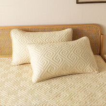 Standard Pillow Protectors (2 pcs), Waterproof, Hypoallergenic, Bed Bug & Dust Mite Proof, Soft Quiet Zip, 29x18.9"