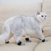 Caipíní Crúba Cat do Chait Ragdoll & Devon – Frith-Scratch