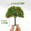 Miniature Landscape Tree for Model Scenes, Realistic Fruit Tree Ornament for DIY Crafts 8