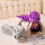 Spinosaurus pluche skelet kostuum paars 1
